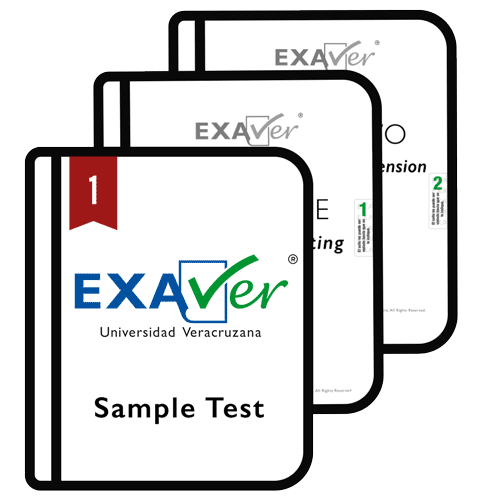 EXA2