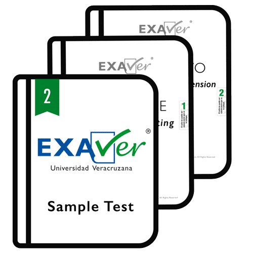 EXA2