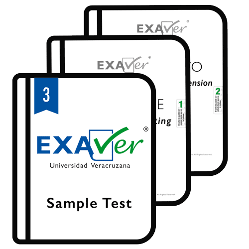 EXA2